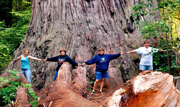 25788591_55b4fa77c6_o